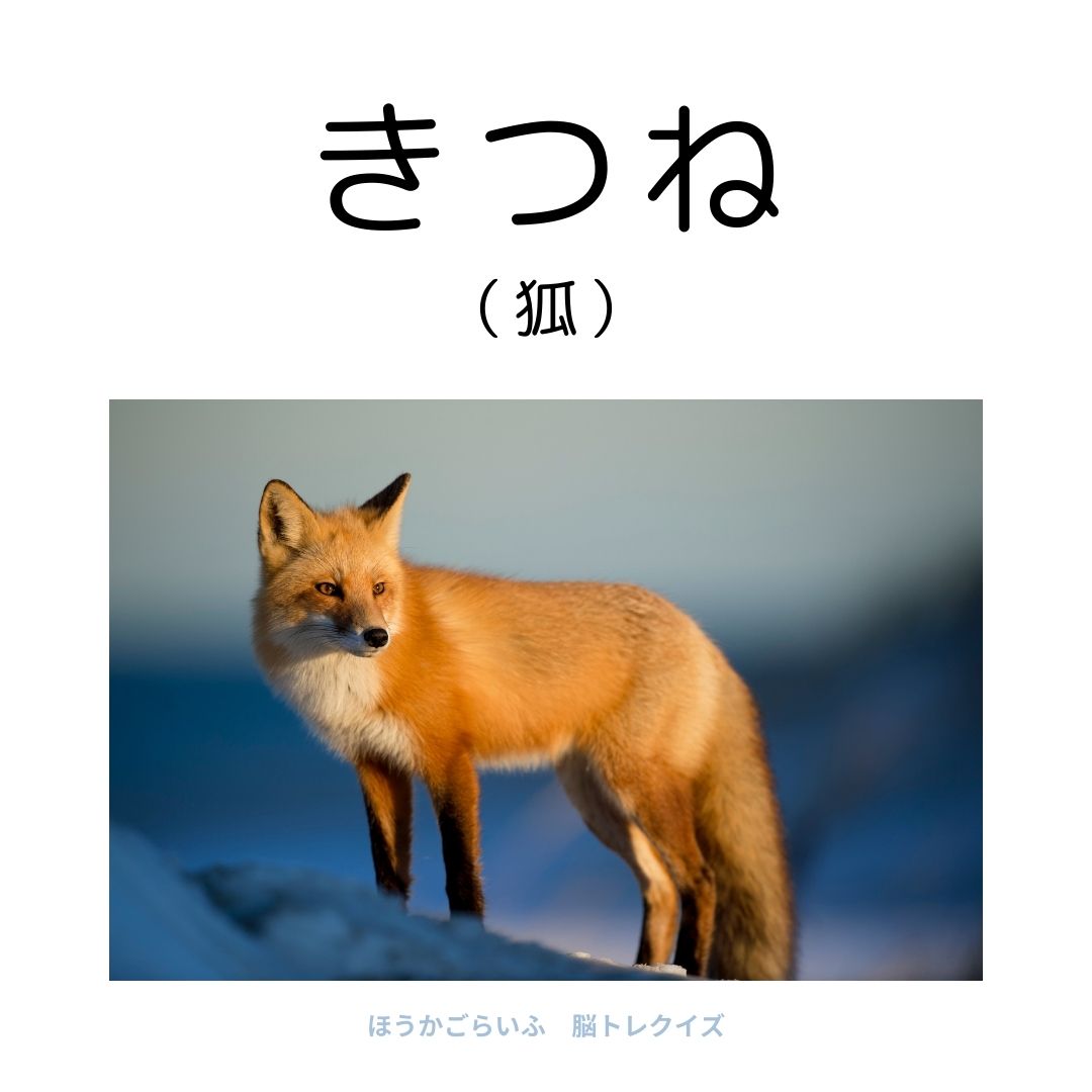 高齢者向け（無料）言葉の並び替えで脳トレしよう！文字（ひらがな）を並び替える簡単なゲーム【動物の名前】健康寿命を延ばす鍵